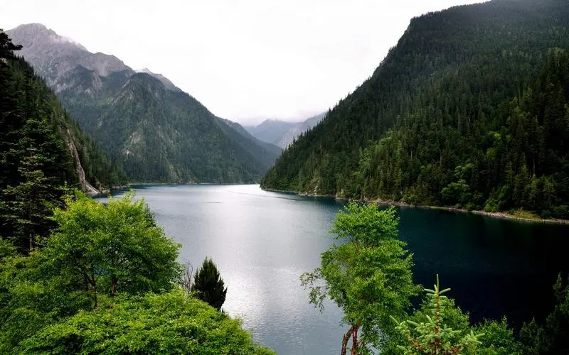 创意高精度网络化